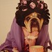 Carol Rule Photo 18