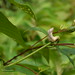 Jiang Ye Photo 9