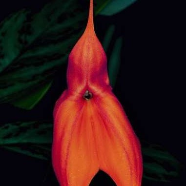 Gregory Waugh Photo 18