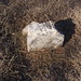 John Potts Photo 45