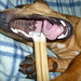 Tony Spaulding Photo 15