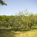 Tracy Spaulding Photo 13