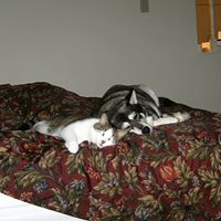 Belinda Tuttle Photo 4