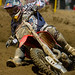 Mike Tedesco Photo 15