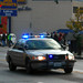 Timothy Roy Photo 21