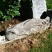 Douglas Marchand Photo 5