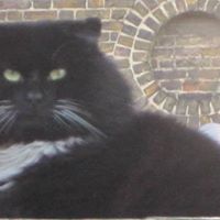 Alice Meadows Photo 25