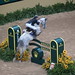 Tony Hansen Photo 29