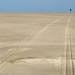 Sandy Hoeft Photo 4