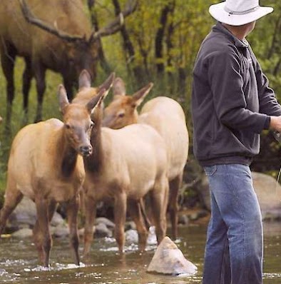 Kim Winters Photo 40