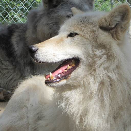 Rhonda Lanier Photo 5