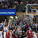 Robin Collison Photo 6