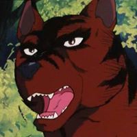 Martin Rasmussen Photo 26 Martin Rasmussen Photo 26