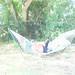 Eric Snell Photo 35