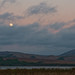 Marty Moon Photo 20