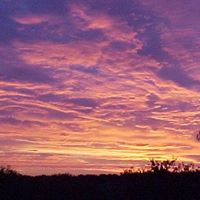 Deborah Cates Photo 15