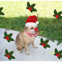Mary Scimeca Photo 8