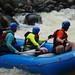 Susan Mcneely Photo 19