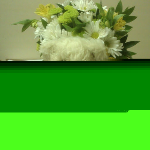 Debbie Howes Photo 10