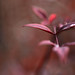 Amy Godfrey Photo 28