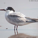Michael Topp Photo 26