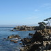 Kathy Grove Photo 14