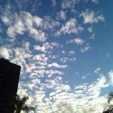 Laura Jenson Photo 9