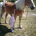 Grace Leo Photo 6