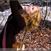 Lindsay Ferguson Photo 19