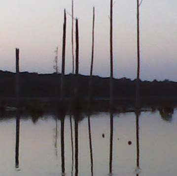 Don Randall Photo 7