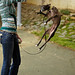 Marie Reed Photo 28