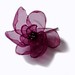 Ruby Cherry Photo 8