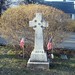 David Shall Photo 3