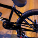 Sean Sexton Photo 25