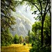 Richard Meadows Photo 24