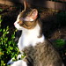 Libby Hunt Photo 24