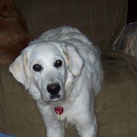 Beth Lockhart Photo 17
