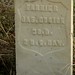 James Farrier Photo 13