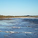 Ryan Strand Photo 13