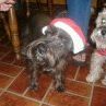 Carolyn Ritchie Photo 3
