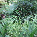 Julie Hartmann Photo 11