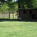 April Hamlett Photo 13