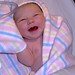 Amelia Reid Photo 31