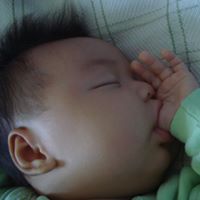 Li Cui Photo 16