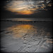 Richard Bach Photo 47