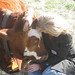 Colleen Harrison Photo 21