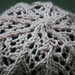 Debbie Vines Photo 18