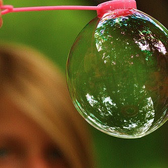 Susan Windle Photo 10