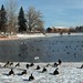 Kathleen Bird Photo 11