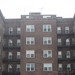 Elizabeth Rego Photo 13